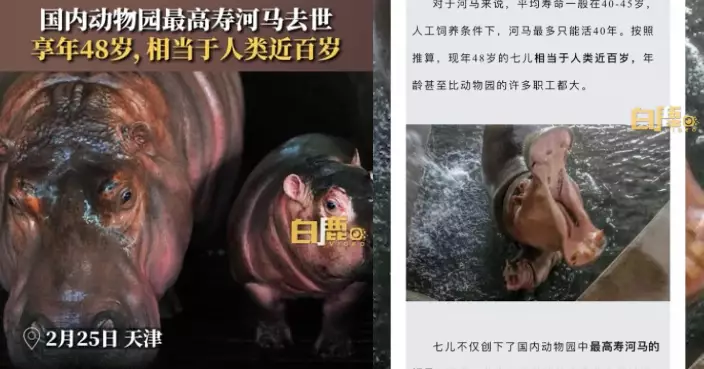 國內最長壽！天津動物園河馬「七兒」48歲離世 相當人類逾百歲