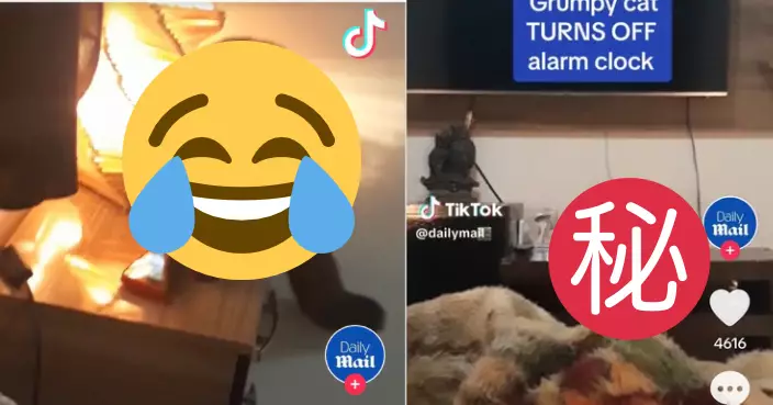 設鬧鐘卻未響返工常遲到 巴西女驚揭罪魁禍首竟是「牠」