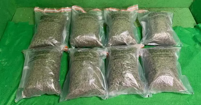 18歲男子曼谷抵港 疑行李藏8公斤大麻花被捕