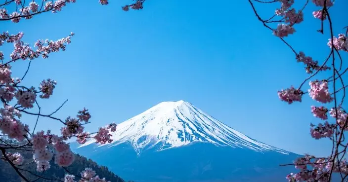 看不到完整富士山 中資酒店人員擅闖前方別墅砍樹