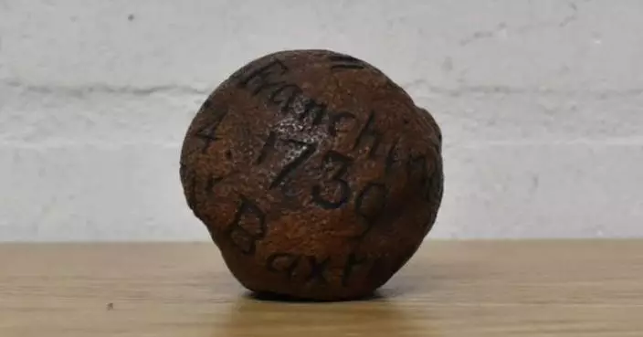 貴過古董！285年歷史「發黑檸檬」拍賣引2買家競標 近1.4萬售出