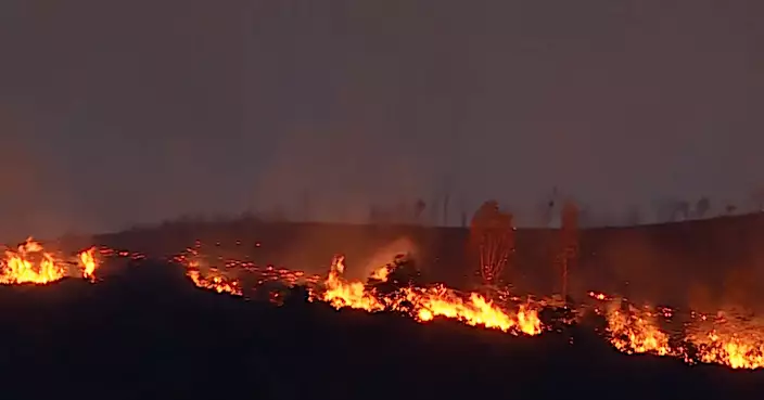 元朗山火暫受控 現場兩火線長約100米及30米