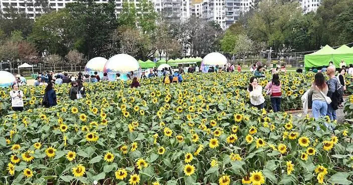 香港花卉展覽結束後 康文署3.25送約3000盆花給市民
