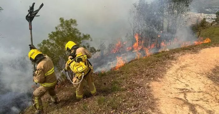 南丫島鹿洲山火救熄　27人一度被困由消防將送往榕樹灣碼頭