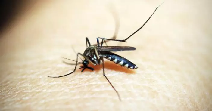 邊類人勁惹蚊？化學博士K Kwong拆解「蚊叮」原因 蚊怕水含呢種成份最有效