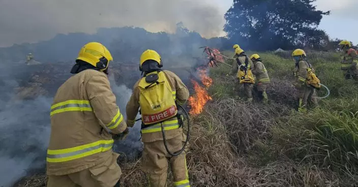 消防處：連日接獲多宗山火報告　籲市民掃墓勿留火種