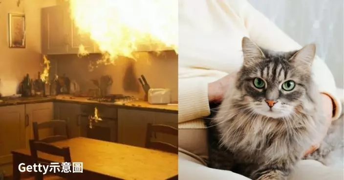 日10年間發生逾50宗寵物相關火災 因貓狗1習性導致