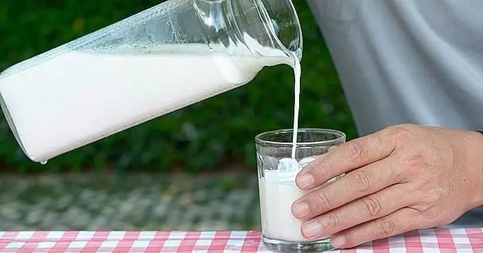 乳糖不耐唔飲牛奶點補鈣？台醫生推介4大補鈣食物 