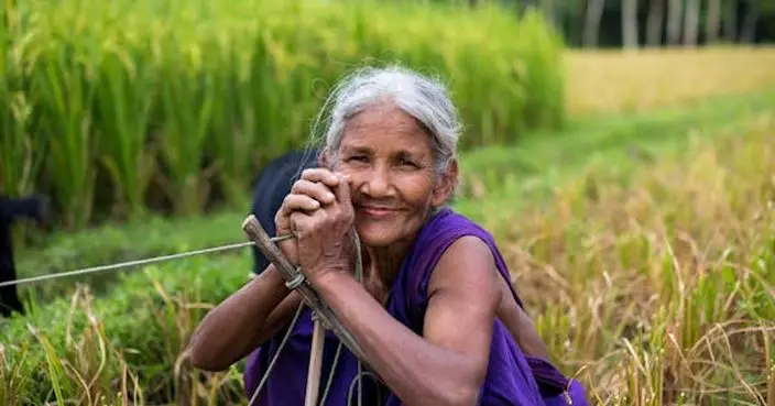 聯合國宣布2026年為國際女農民年 推進農業領域實現性別平等及婦女賦權