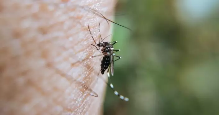 食環署提醒市民及早採取預防措施防治蚊患