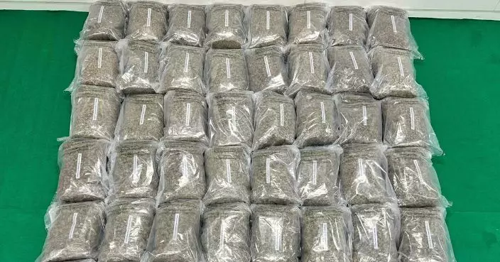 即食麵粟米片暗藏1600萬元大麻花 海關查驗泰國貨櫃揭發拘3男