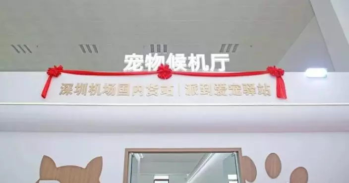 全國首家！深圳機場特設寵物候機廳 貓狗不再怕出遠門