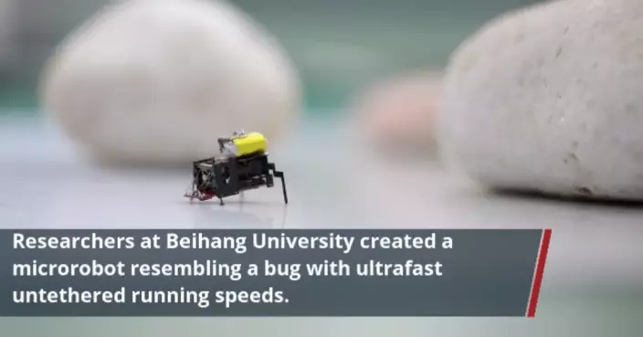 北航科研團隊實現技術突破 2厘米昆蟲機器人超快速助力災後救援