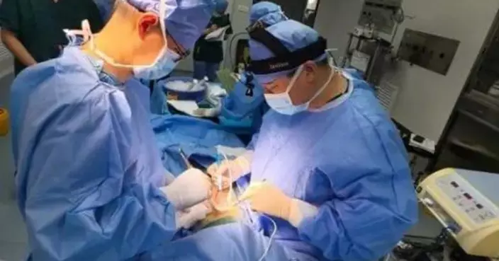 全球首例！安徽醫院成功為肝癌患者完成豬肝移植手術