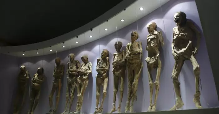 200多歲木乃伊一搬「手臂掉了」！墨西哥博物館翻修被控不當對待國家遺產