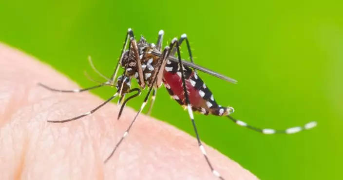 食環署提醒市民須及早採取有效預防措施防治蚊患