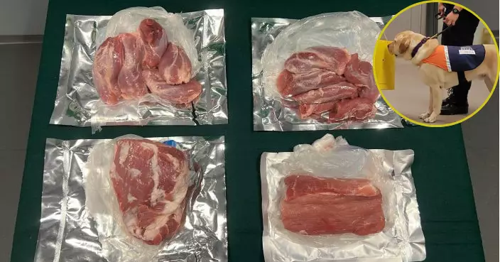 偵緝犬揭入境者以錫紙包裝生肉闖關 食安中心今年已提715宗檢控