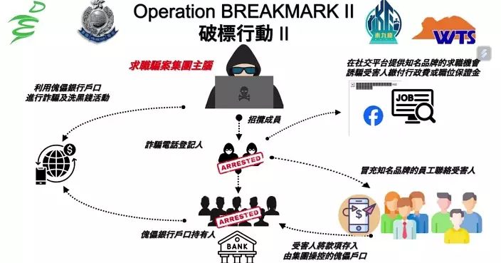 警方打擊網上騙案拘114人 73宗涉款逾7300萬  網上求職騙案佔3成