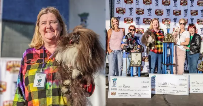 美舉辦「全球最醜狗比賽」 奇跡生還獅子狗奪冠 勵志故事曝光