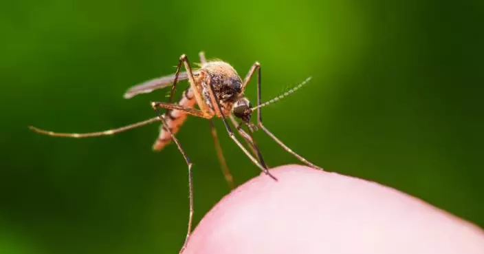 夏季蚊子耳邊響擾人睡眠？專家揭「1電器」勝過捕蚊燈