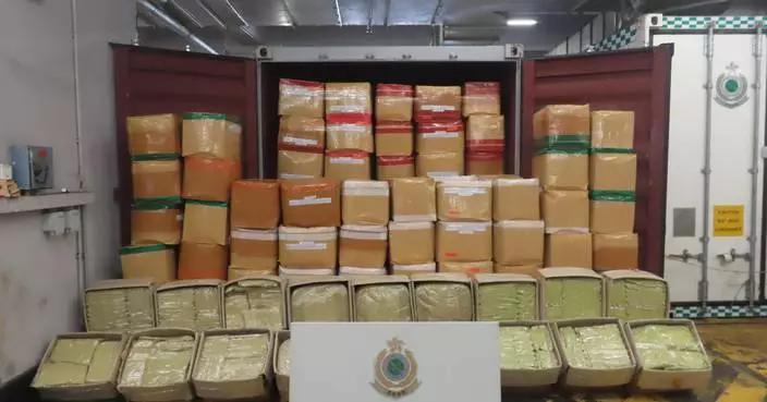 海關檢逾14噸懷疑帽柱木鹼 巿值約3900萬元