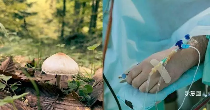 泰45歲漢食路邊野蘑菇中毒入院6天後身亡 專家：懷疑中毒要咁做