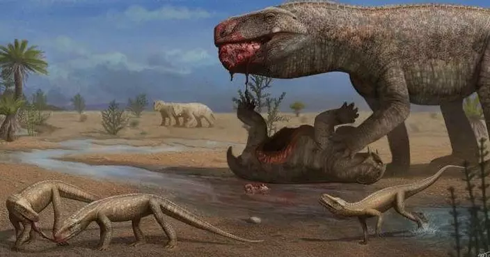 巴西出土2.37億年「偽鱷類」化石  可助研究三疊紀生物多樣性