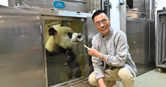 楊潤雄：中央贈送大熊貓顯示對香港厚愛　料為旅遊業注入動力