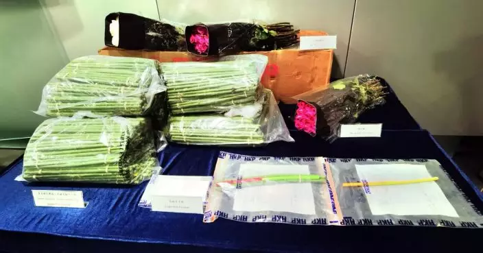 毒販膠管扮花莖圖以「毒玫瑰」運毒 警檢3300萬元可卡因拘兩男