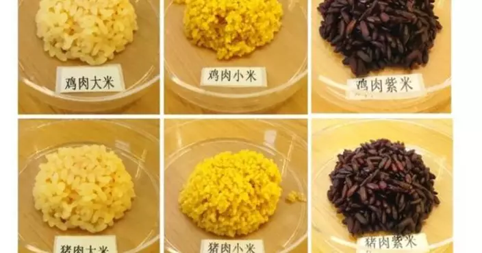 米裡有肉！中國科學家成功研發「雞肉米」及「豬肉米」 兼具碳水蛋白質營養
