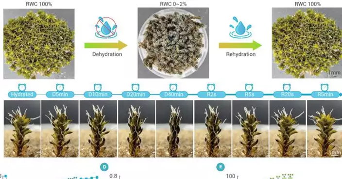 火星研究將有新進展？新疆生態研究所發現首個能在火星存活的植物