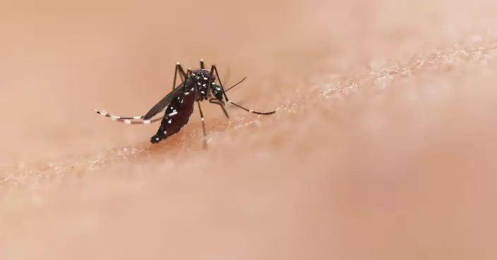 嚴重或致喪命！西班牙8旬婦遭蚊子叮咬 感染病毒僅一周身亡