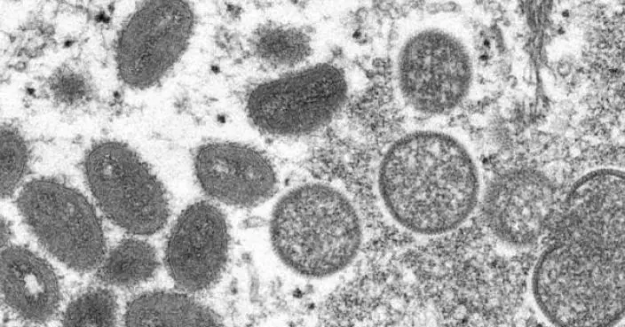 世衛警告猴痘仍威脅全球衛生 並對剛果新型毒株爆發表示特別關注