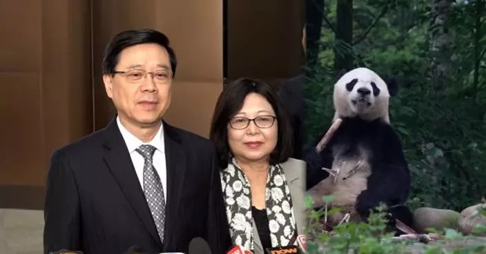 李家超赴四川商討大熊貓來港安排