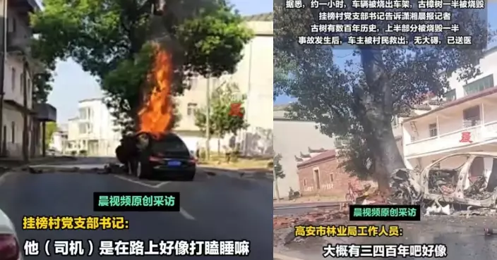 江西百年古樟樹矗立路中央 名車車主疑瞌眼瞓一頭撞上致起火燒毀一半