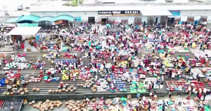 南海開漁季漁港千帆競發  市民海鮮市場強勢爭「鮮」 打造嶺南海洋「好風光」