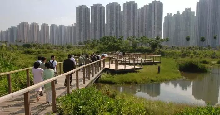 颱風摩羯｜8號風球下濕地公園暫停開放