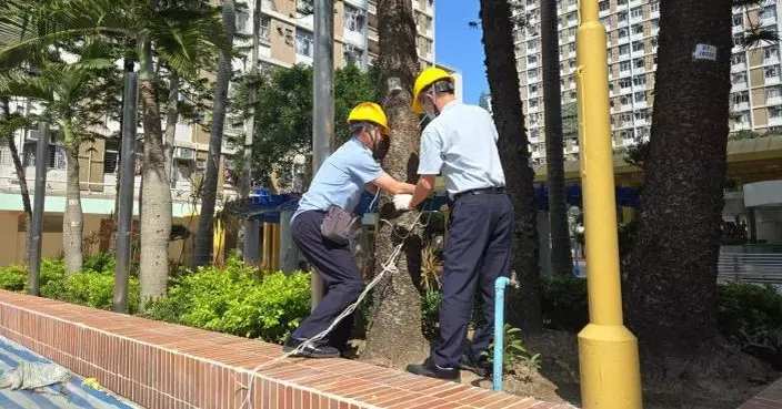 颱風摩羯 | 何永賢：多管齊下 超前準備