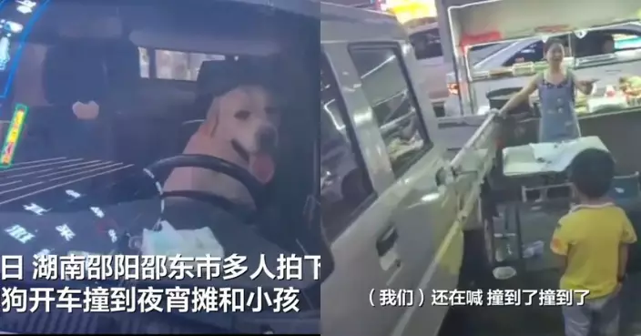 狗狗駕貨車失控撞傷孩童？ 湖南交警澄清：車主忘拉手剎