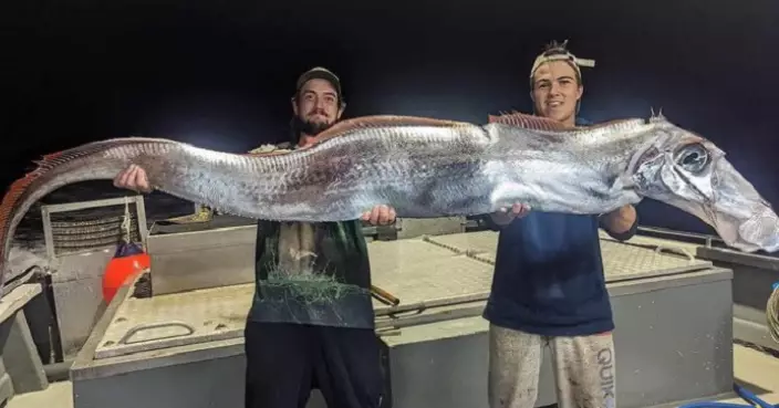 澳洲男捕獲「末日之魚」 傳預告大地震海嘯