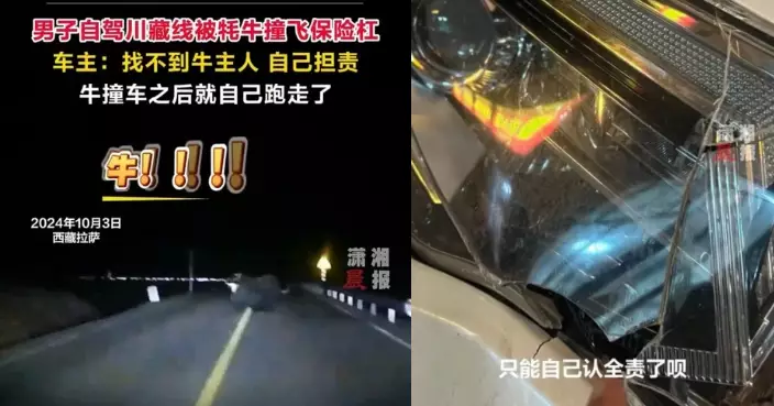 內地男自駕遊深夜遭「氂牛」迎面撞上 車輛保險槓被撞飛數米遠