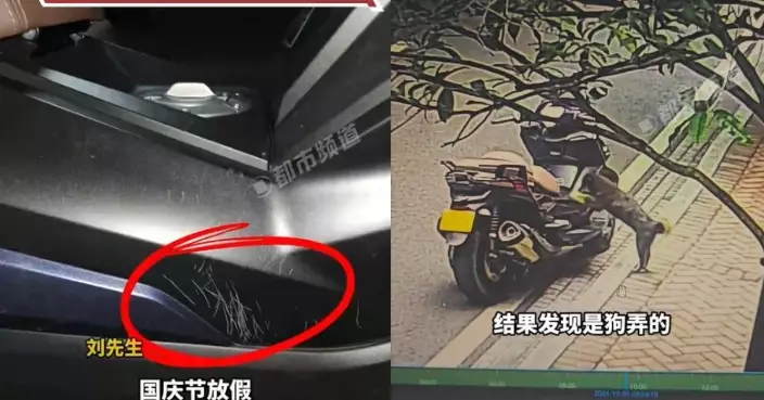 出遊返家發現愛車佈滿刮痕 四川男氣炸睇監控驚揭兇手竟是「牠」