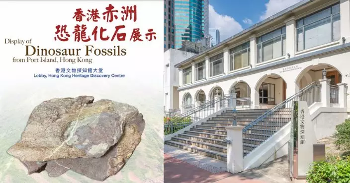 恐龍化石文物探知館展出 市民讚現場解說有助了解