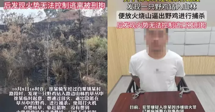 為獵捕山林野雞點燃枯草 湖北32歲男意外釀山火遭警方逮捕拘留