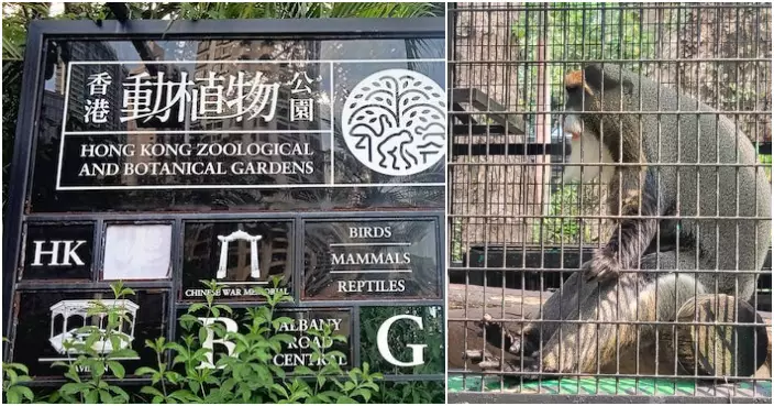 動植物公園再有白臀長尾猴死亡 累計12猴子死亡