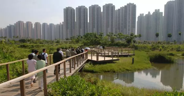 香港濕地公園暫停開放 8號風球除下後2小時重開