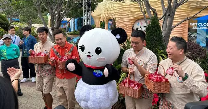 海洋公園辦熊貓孖寶百日慶典派對 賀首對港產大熊貓出生100日