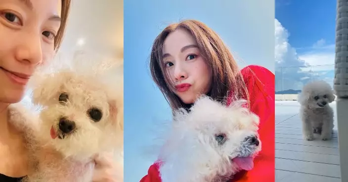 鄧麗欣14歲愛犬年糕離世 Stephy跟愛犬抱抱道別：多謝你等我回來