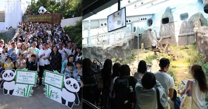 「全城喜迎大熊貓」慈善日 500善長及受惠人士率先與中央贈港大熊貓見面