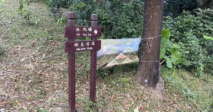 男子大埔衛奕信徑行山疑遭蜜蜂螫傷失蹤 數小時後被發現昏迷送院不治